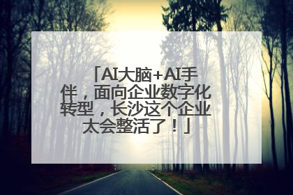 AI大脑+AI手伴，面向企业数字化转型，长沙这个企业太会整活了！