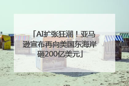 AI扩张狂潮！亚马逊宣布再向美国东海岸砸200亿美元