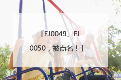 FJ0049、FJ0050，被点名！