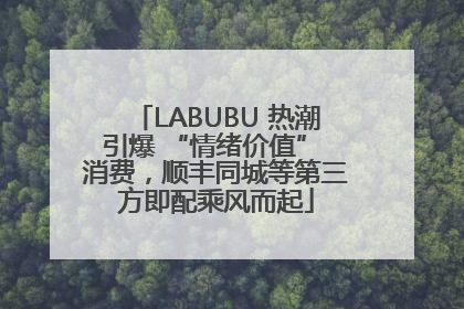 LABUBU 热潮引爆 “情绪价值” 消费，顺丰同城等第三方即配乘风而起